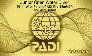 jrdiver_card